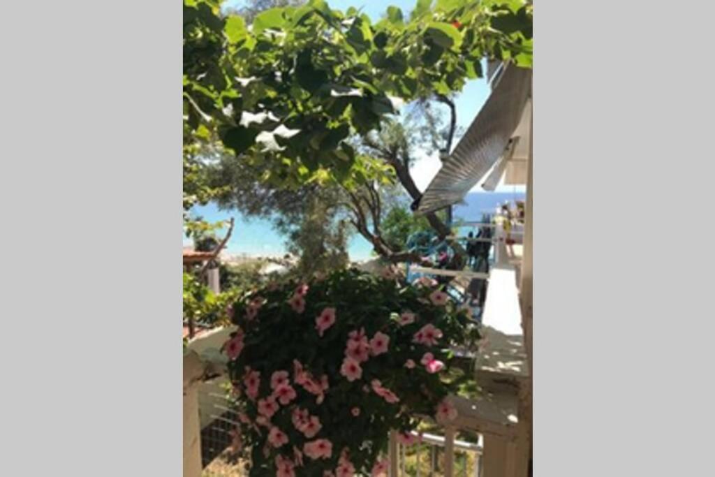 Stefani Apartment With A Sea View Terrace! Nea Moudania Kamer foto